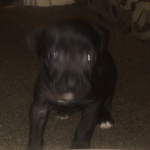 Meet your Posher, Regina